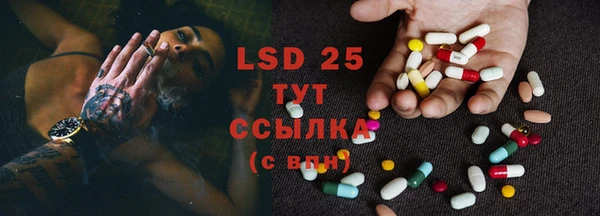 прущие грибы Вязники