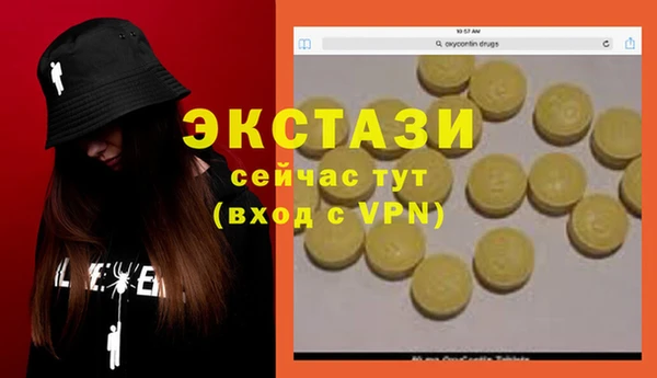 прущие грибы Вязники